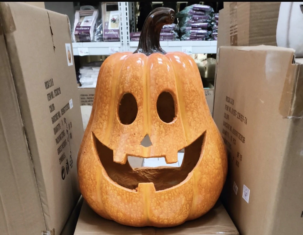Dýně mega vesela 50 cm 